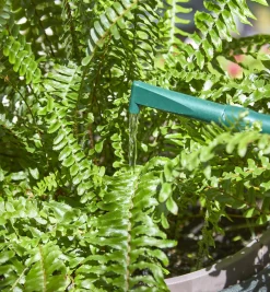 Lee Valley Haws Plastic Watering Can