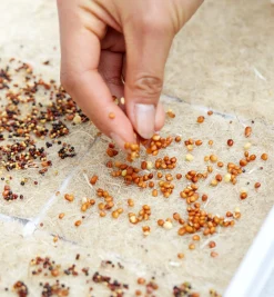 Lee Valley Hemp-Fiber Grow Mats