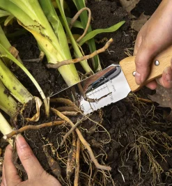 Lee Valley Hori Hori Knife