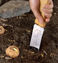 Lee Valley Hori Hori Knife