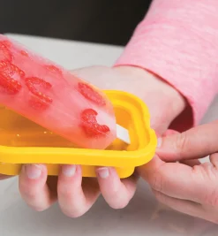 Lee Valley Ice Pop Molds