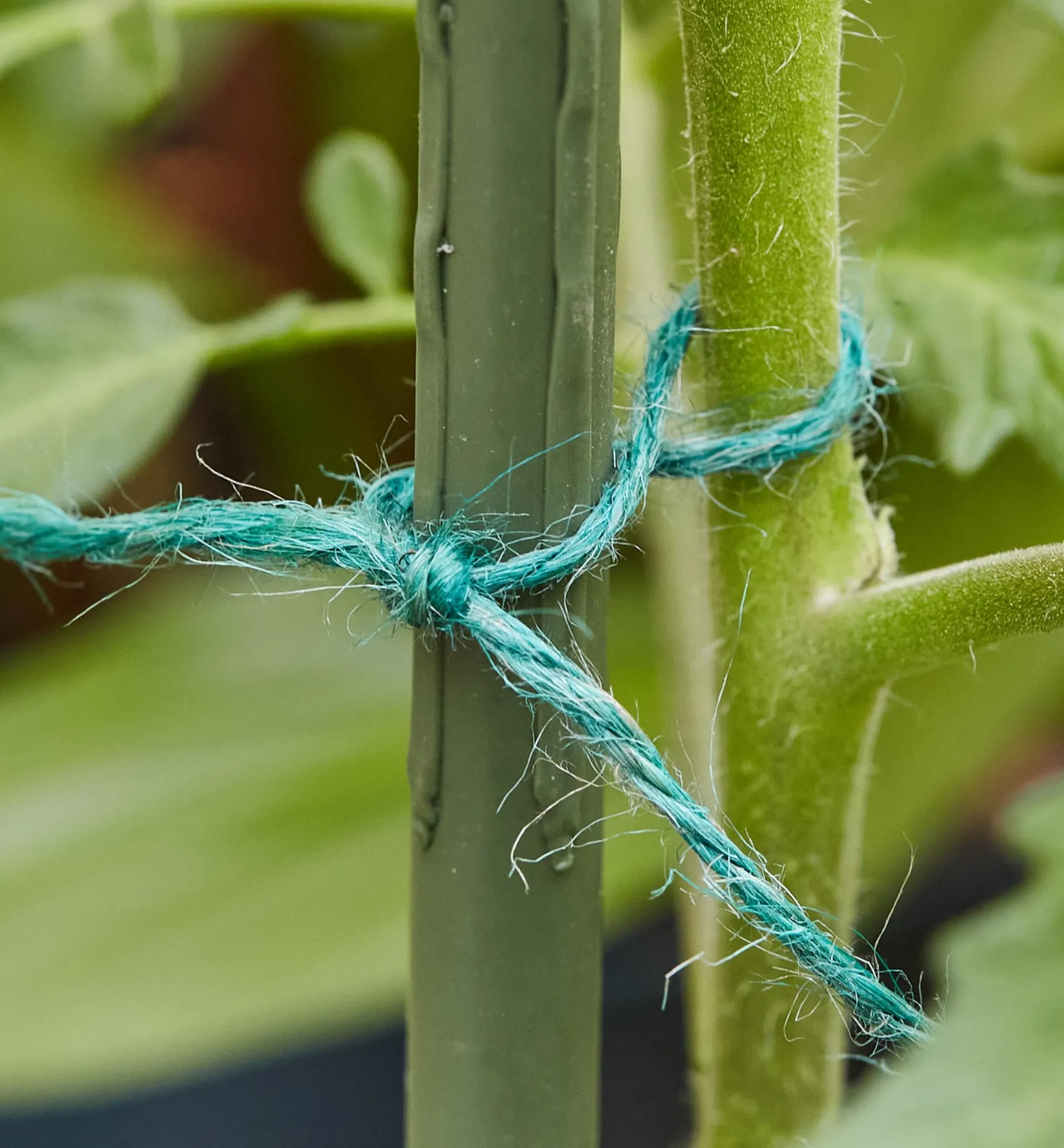 Lee Valley Jute Garden Twine