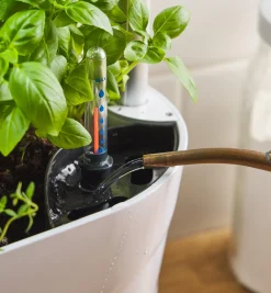 Lee Valley LED Grow Light & Planter