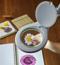 Lee Valley LED Magnifying Bench Lamp