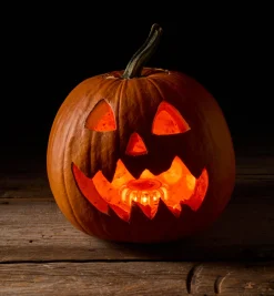 Lee Valley LED Road Beacon/Work Light