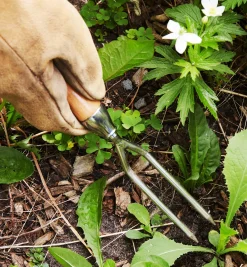 Lee Valley Container Garden Jekyll Weeder