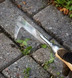 Lee Valley Crack Weeder