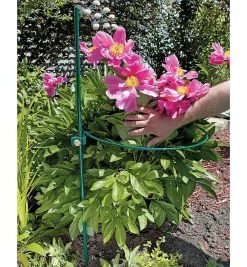 Lee Valley Peony Support