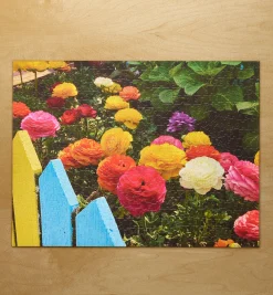 Lee Valley Puzzles (2024)