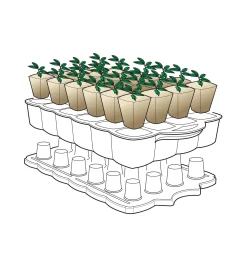 Lee Valley Self-Watering Seed Starter