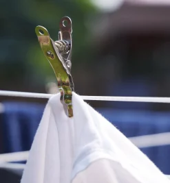 Lee Valley Lifetime Clothespins