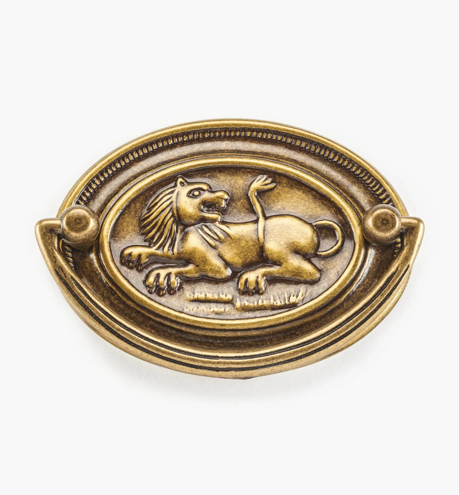 Lee Valley Lion Plate Pulls