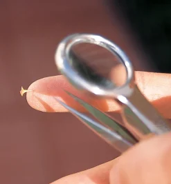 Lee Valley Magnifier Tweezers