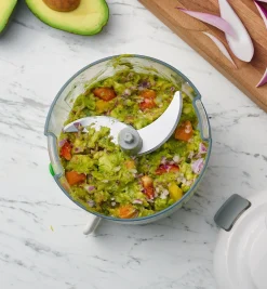 Lee Valley Manual Food Processor