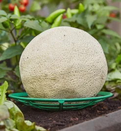 Lee Valley Melon/Squash Cradles