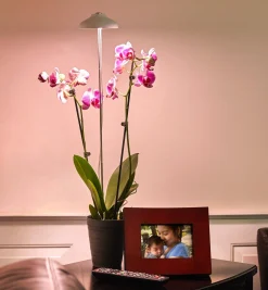 Lee Valley Mini LED Grow Light