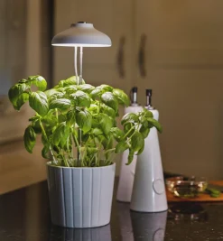 Lee Valley Mini LED Grow Light