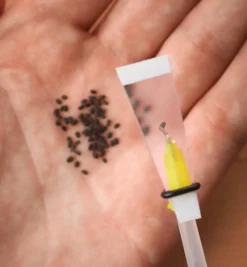 Lee Valley Mini Wand Seeder