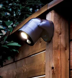 Lee Valley Motion-Activated LED Light