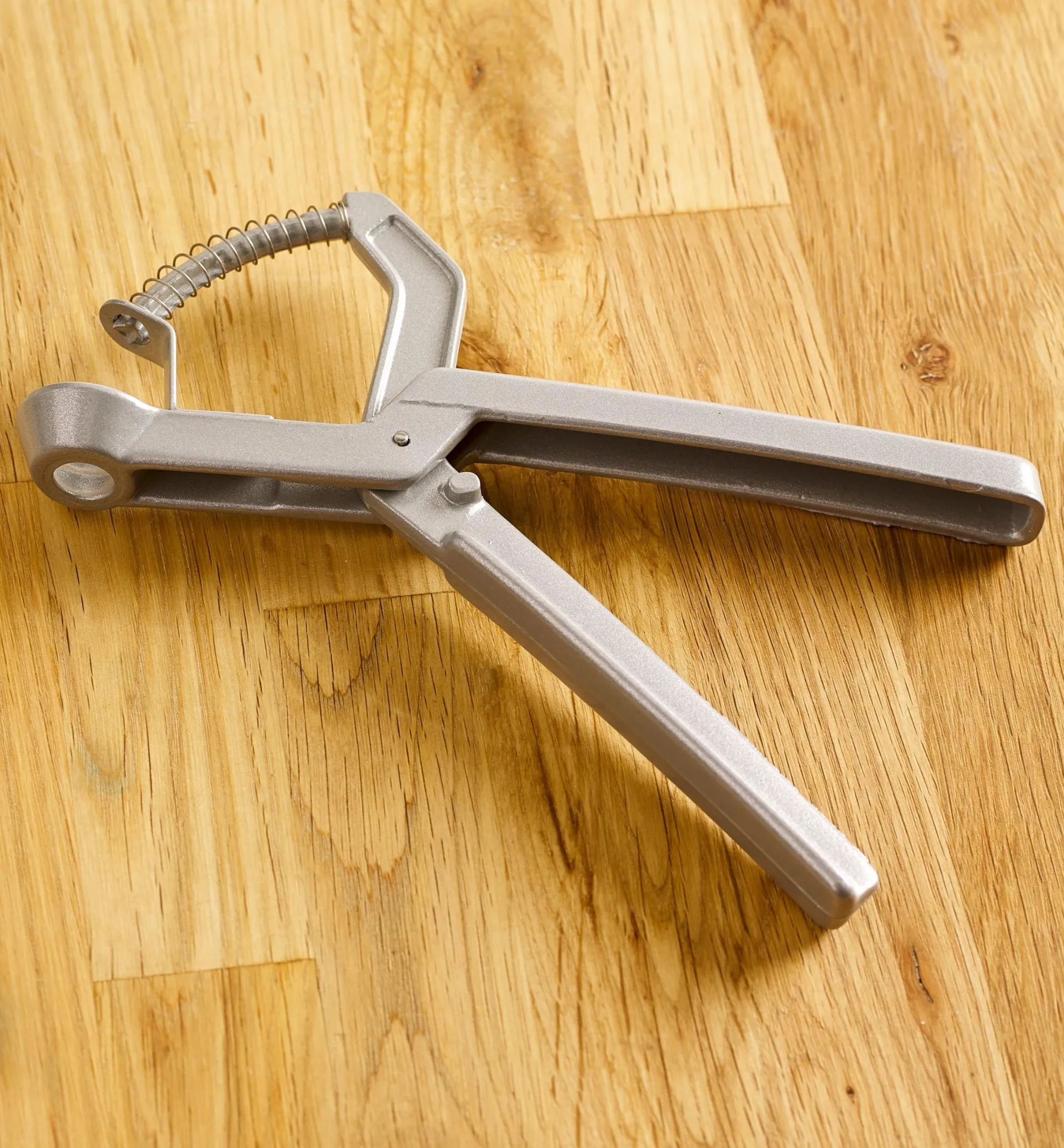 Lee Valley Olive & Cherry Pitter