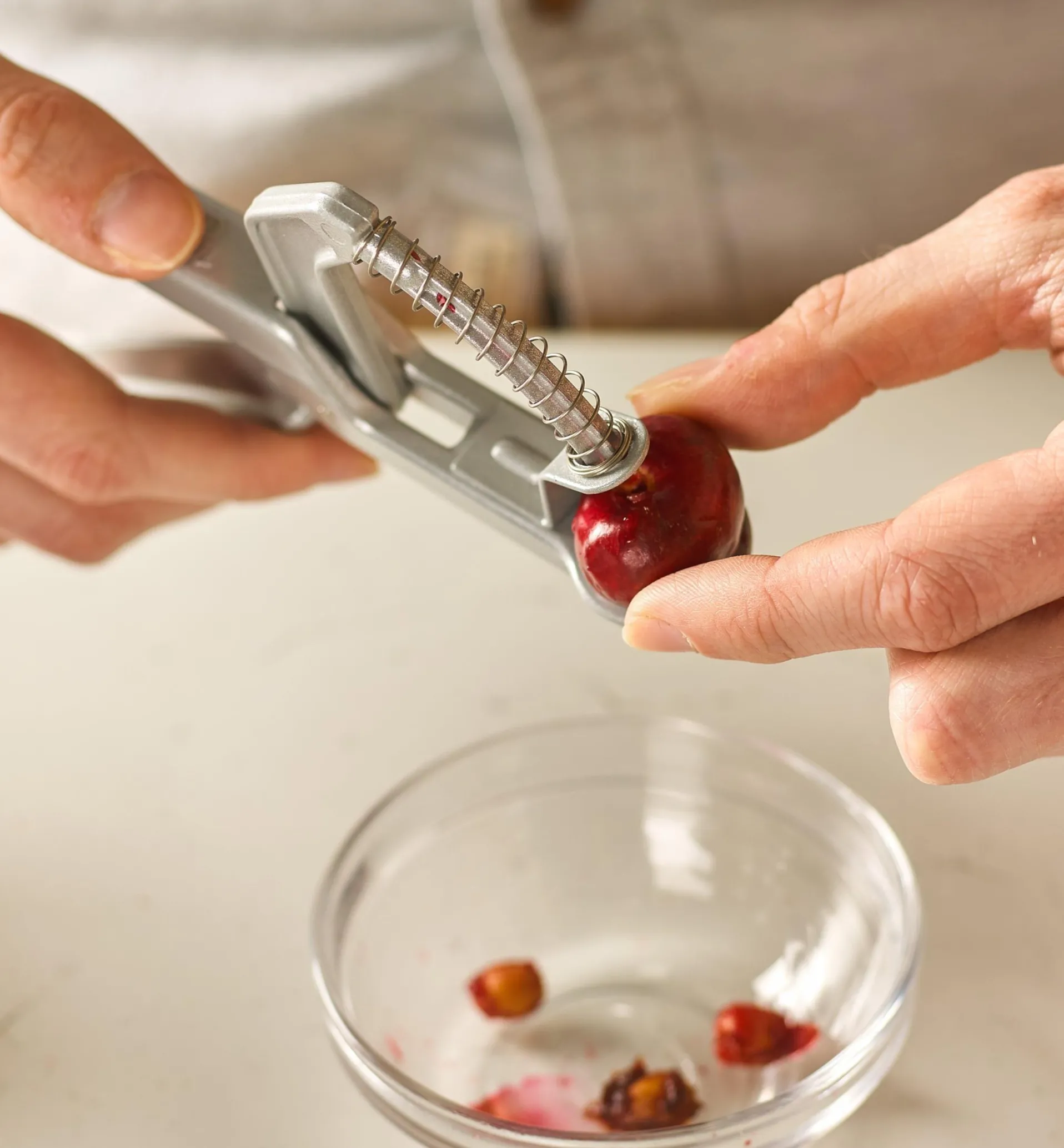 Lee Valley Olive & Cherry Pitter