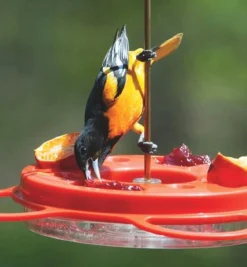 Lee Valley Oriole Bird Feeder