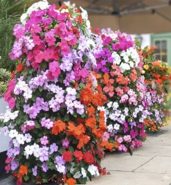 Lee Valley Pair Of Flower Towers