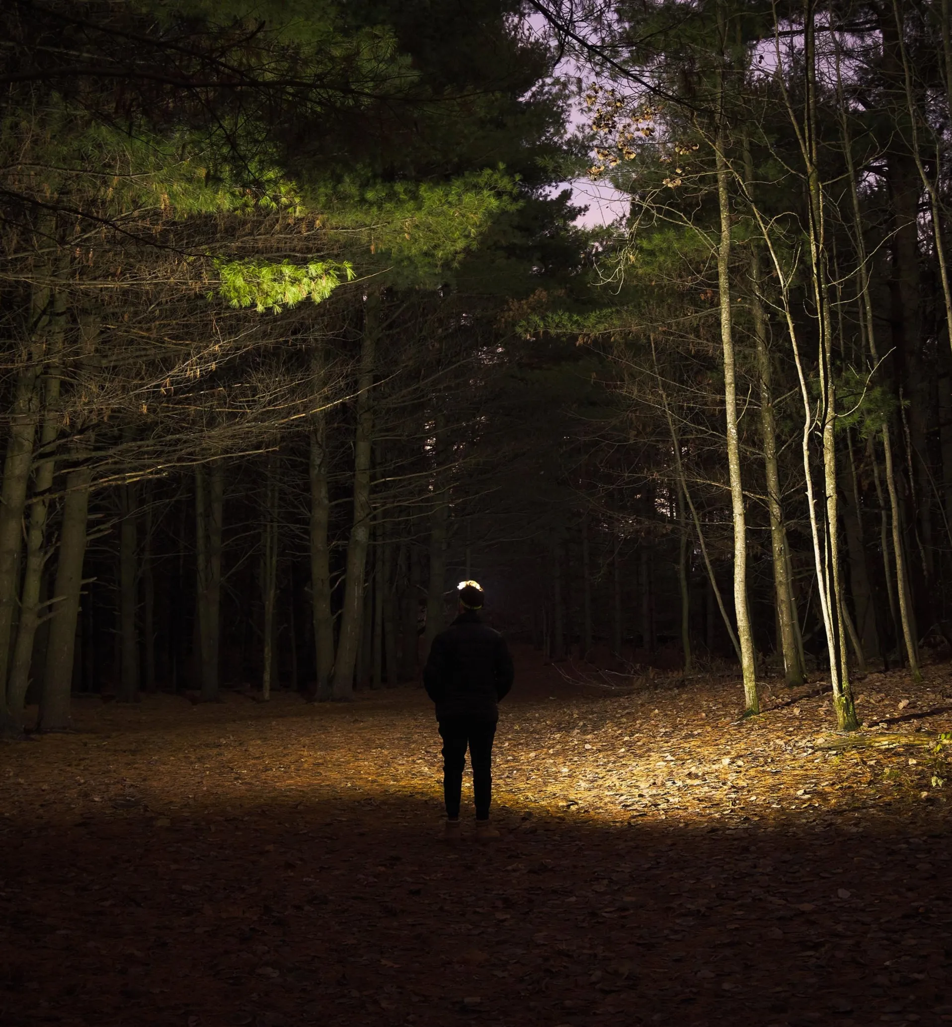 Lee Valley Pair Of Rechargeable COB Headlamps