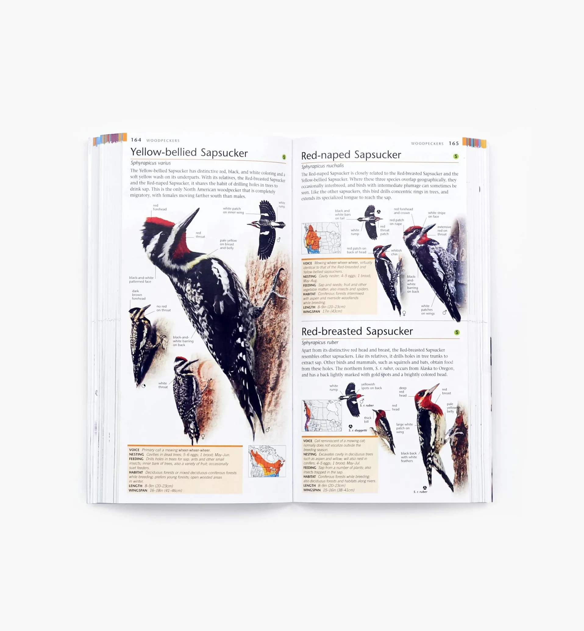 Lee Valley Pocket Birds Of Canada, 2nd Edition