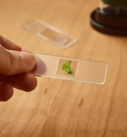 Lee Valley Pocket Microscope