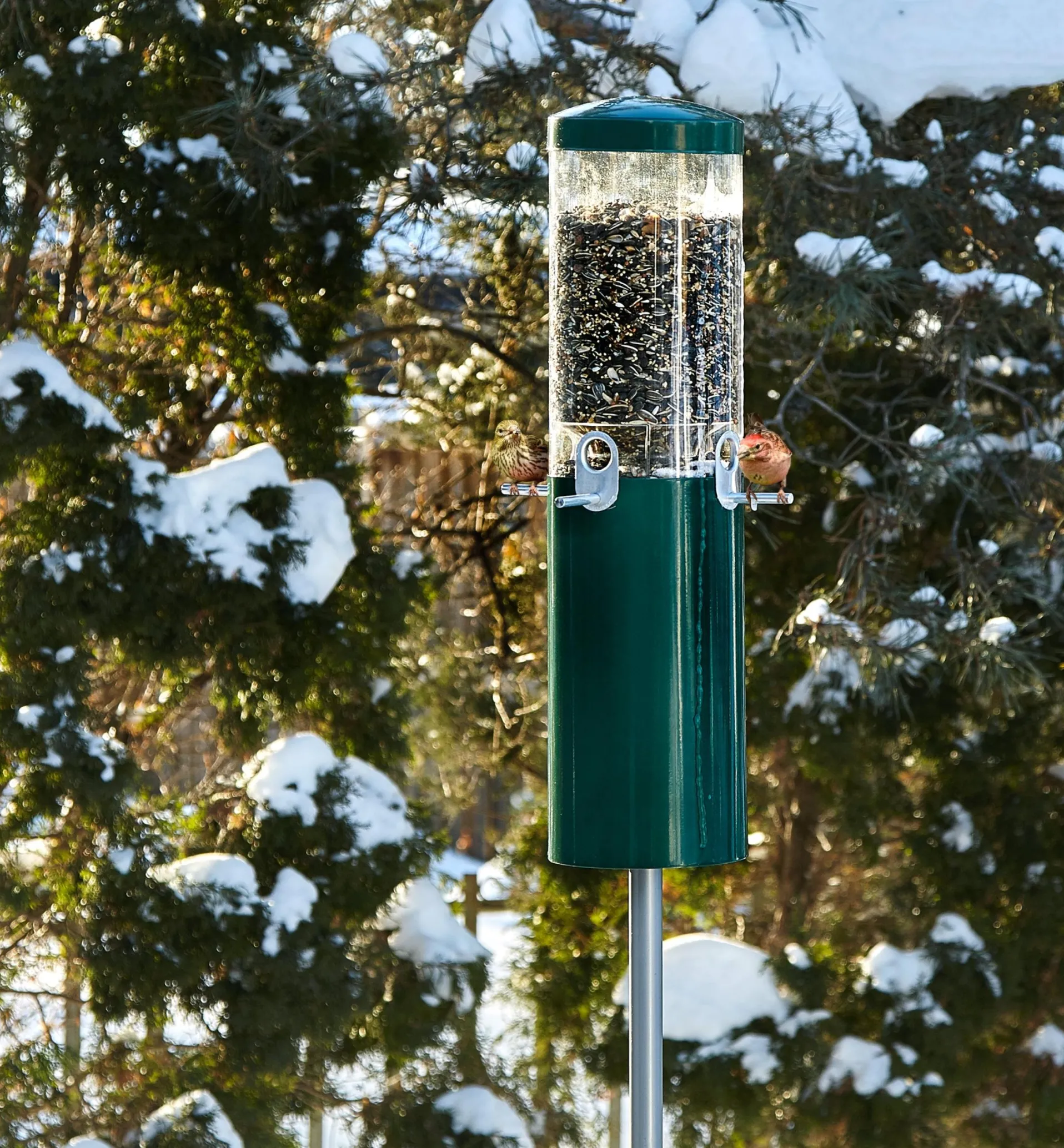 Lee Valley Pole-Mounted Squirrel-Proof Bird Feeder