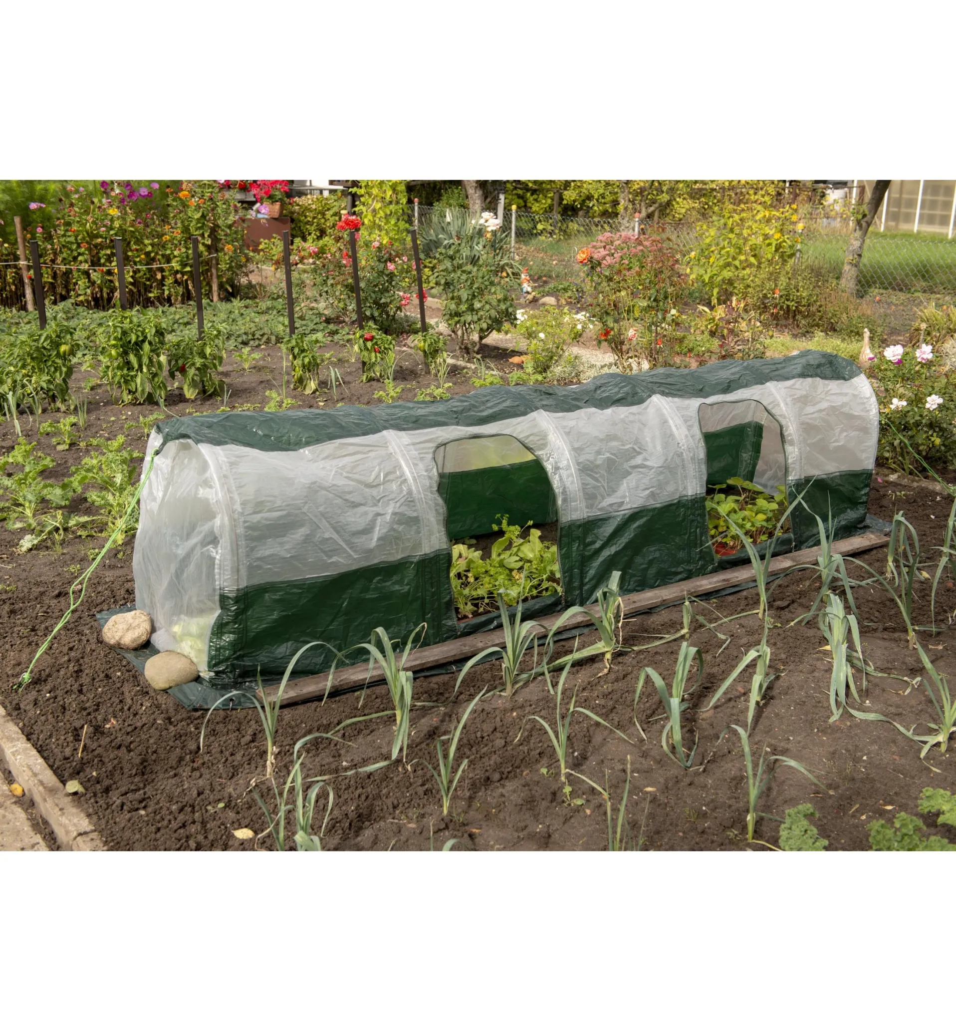 Lee Valley Poly Plant Tunnel