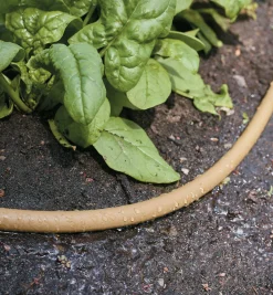 Lee Valley Polyurethane Soaker Hose