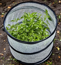 Lee Valley Pop-Up Plant Cover