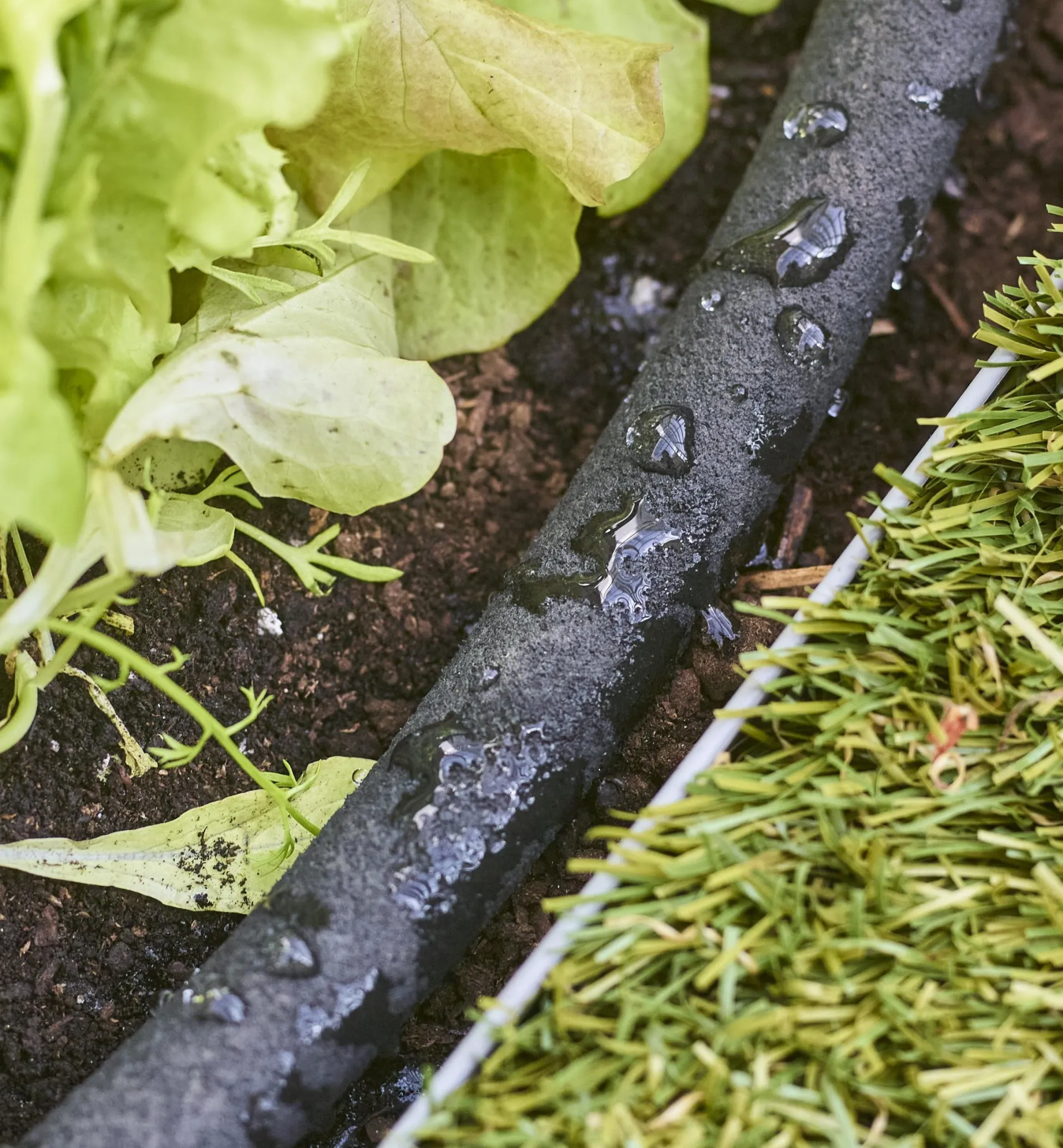 Lee Valley Professional Soaker Hose