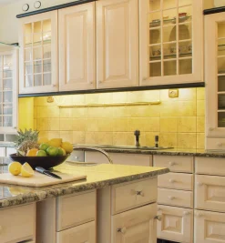 Lee Valley Proline Controller For RGB+W LED Tape Lights