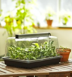 Lee Valley Propagation Tray, Dome, Grow Light & Timer Set