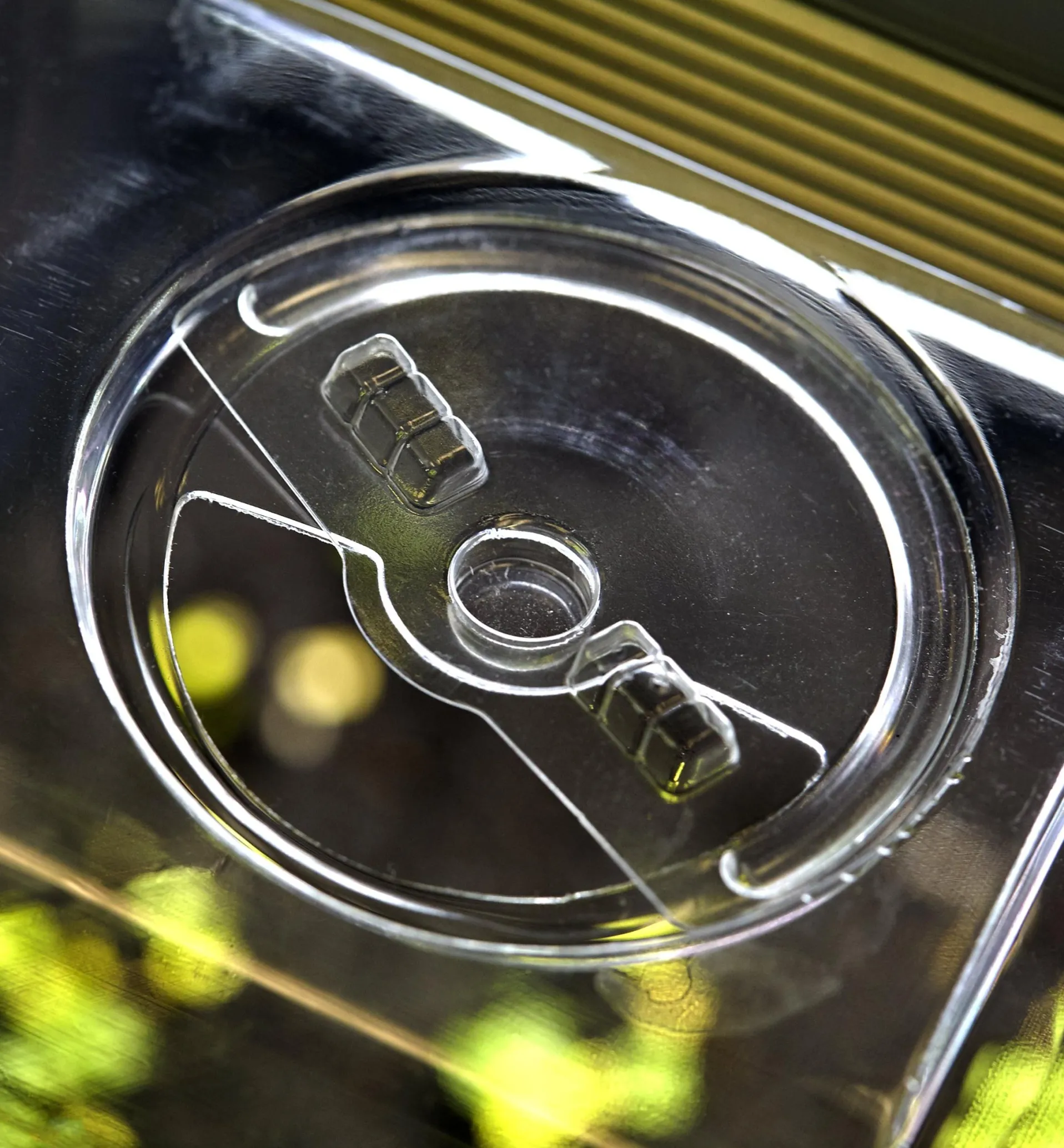 Lee Valley Propagation Tray, Dome, Grow Light & Timer Set