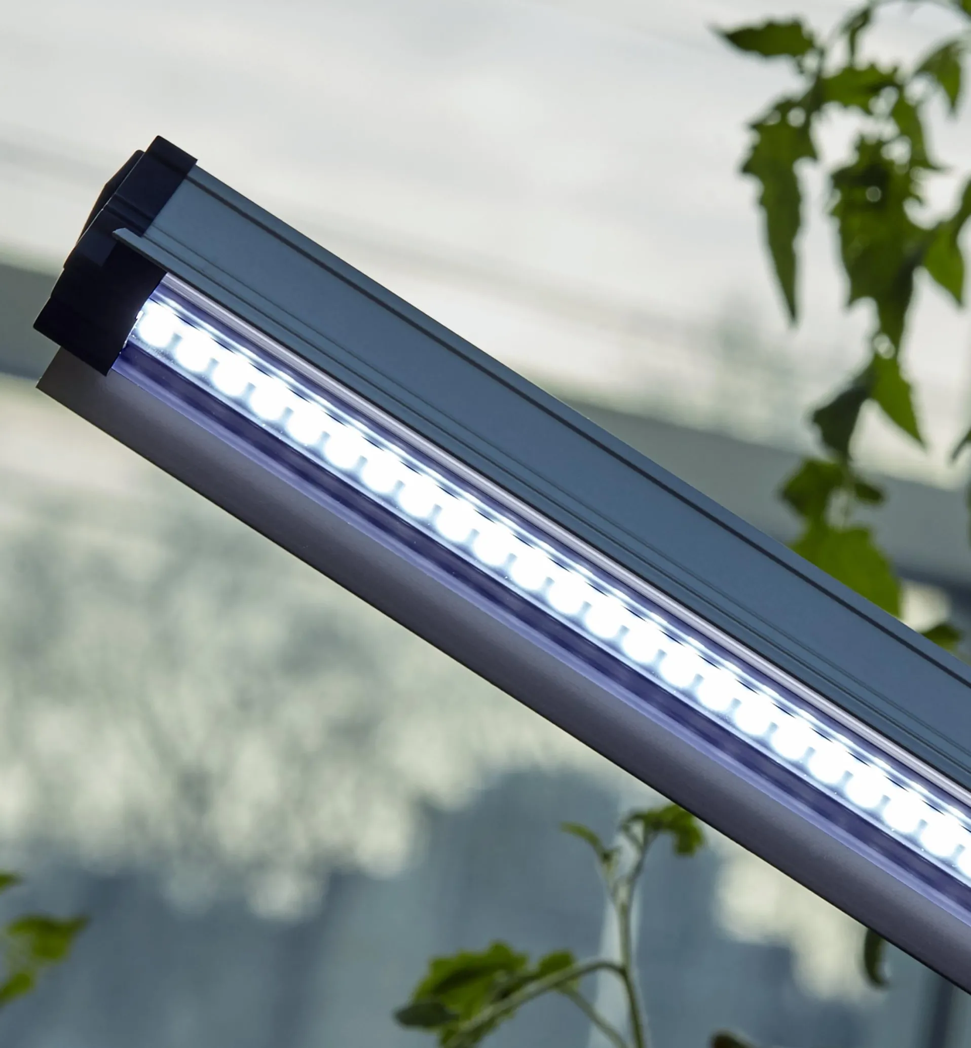 Lee Valley Propagation Tray, Dome, Grow Light & Timer Set