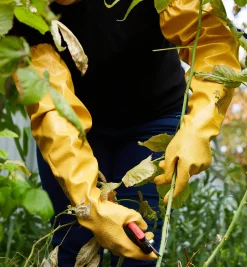 Lee Valley Protective Pruning Gloves