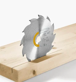 Lee Valley Rip-Cut Saw Blade For Festool TSC 55 K