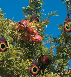 Lee Valley Scare Eye Bird Deterrents