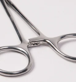 Lee Valley Seal Removal Pliers