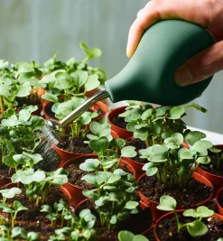 Lee Valley Seedling Sprayer