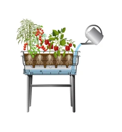 Lee Valley Self-Watering Raised Planter