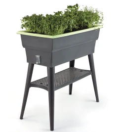 Lee Valley Self-Watering Raised Planter