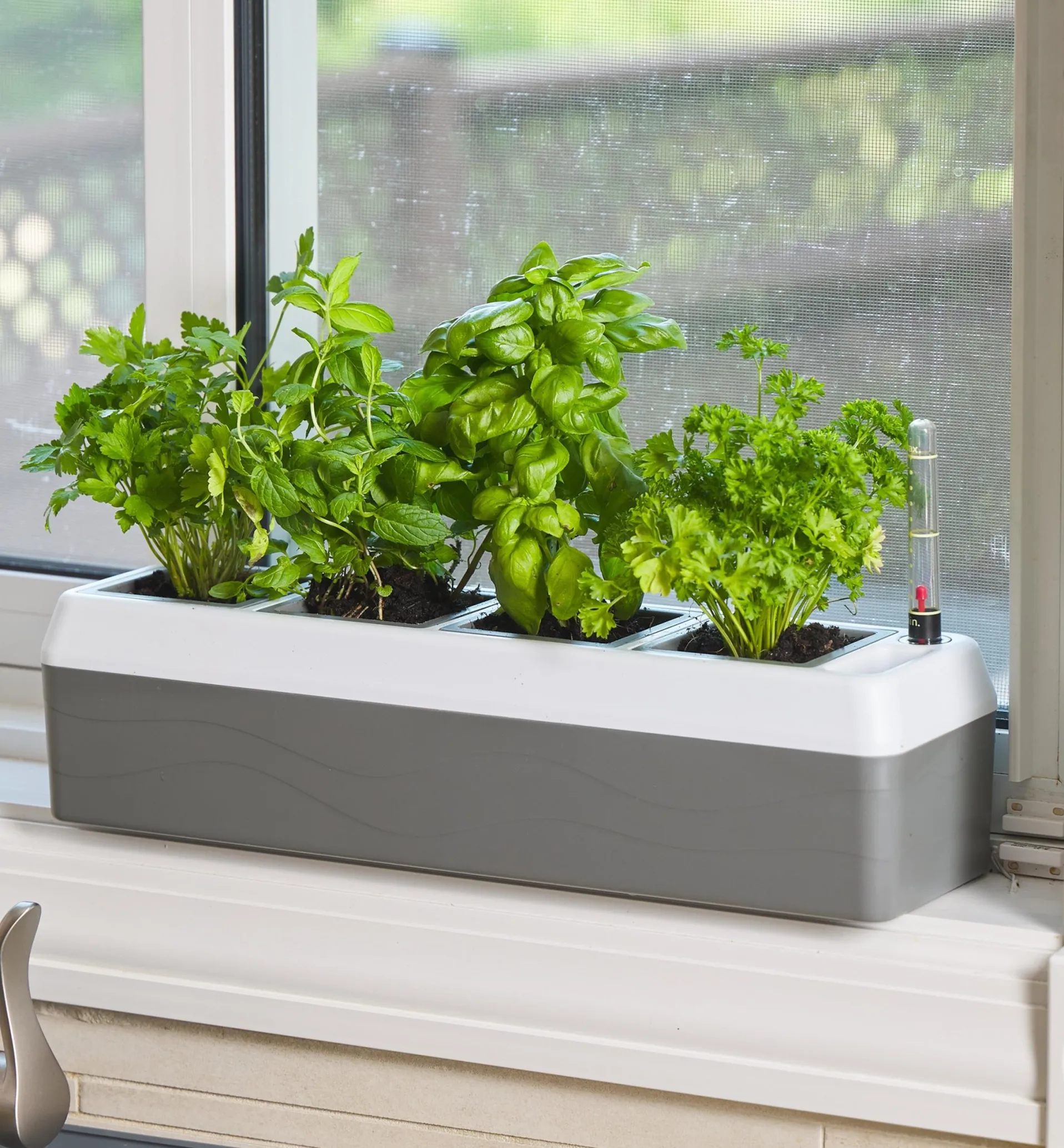 Lee Valley Self-Watering Windowsill Planter