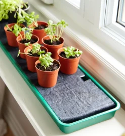 Lee Valley Self-Watering Windowsill Tray