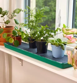Lee Valley Self-Watering Windowsill Tray
