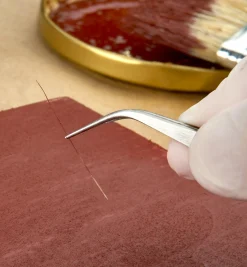 Lee Valley Set Of 3 Forceps